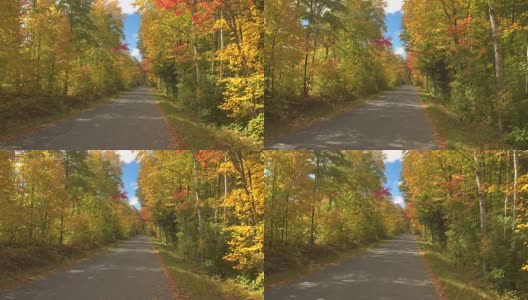 慢镜头POV:在阳光明媚的秋日，驾车穿过美丽多彩的森林高清在线视频素材下载