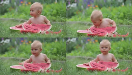 可爱的学步小孩，小男孩，在花园里吃着成熟的西瓜，美味的水果高清在线视频素材下载