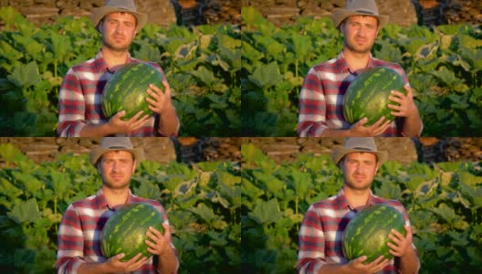 微笑的农民拿着有机西瓜在农田里高清在线视频素材下载