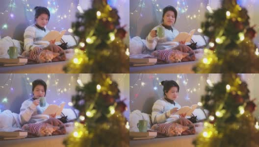 快乐圣诞节与亚洲女性休闲毛衣坐放松阅读小说书与小哈巴狗坐在一起与蛤和快乐的圣诞节日理念概念高清在线视频素材下载