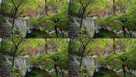 瀑布在秋天的森林在平坪沙国家公园高清在线视频素材下载