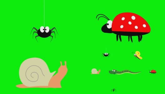 可爱的昆虫。蜘蛛，蝴蝶，蜗牛，蛇，瓢虫和池塘溜冰者在绿色屏幕上高清在线视频素材下载