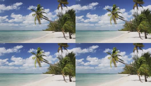 热带海滩，棕榈树和船高清在线视频素材下载