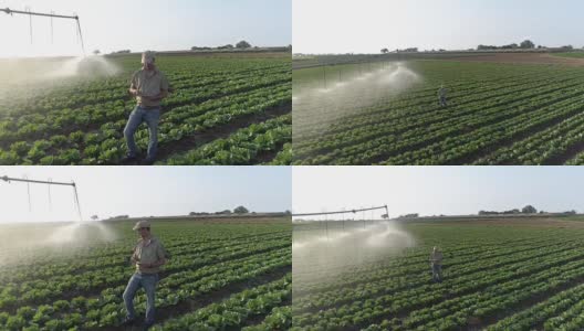使用数字平板和监测中心支点灌溉的农民鸟瞰图高清在线视频素材下载