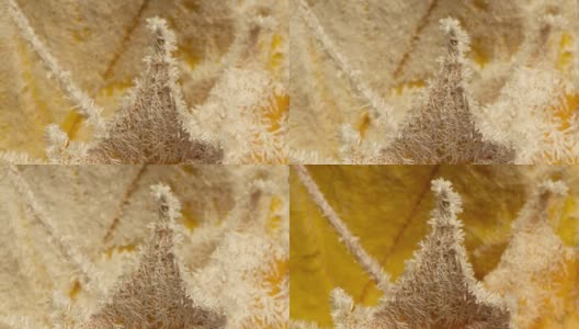 黄澄澄的枫叶上满是霜冻的秋霜，岁月流逝的霜冻生长在秋叶上高清在线视频素材下载