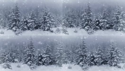 公园里冬天的树。真正的雪。慢动作高清在线视频素材下载