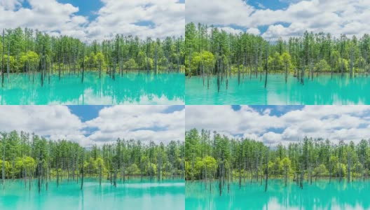 时光流逝美丽的蓝色池塘(aoilike)与反射云和蓝天在北，日本北海道高清在线视频素材下载