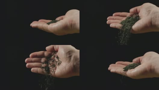 慢镜头:干绿茶叶子从人的手掌落下-正面高清在线视频素材下载