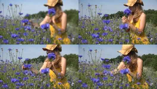 身着黄裙的美女摘蓝色鲜花捧花。4 k高清在线视频素材下载