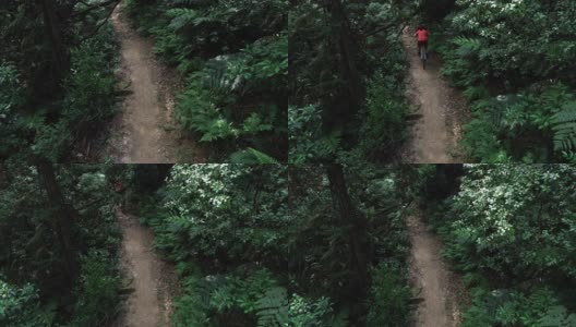 女自行车手在热带森林中越野自行车高清在线视频素材下载