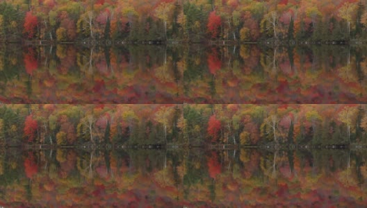 新英格兰的秋色映湖高清在线视频素材下载