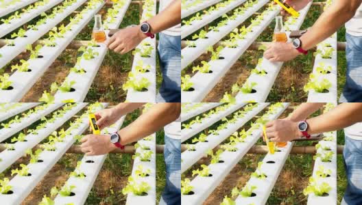 智能农业技术理念——农民检测植物苗圃中有机水培红橡树的水ph值。智能农业高清在线视频素材下载