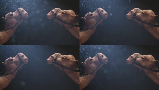 骆驼尘的镜头，黑色的背景高清在线视频素材下载