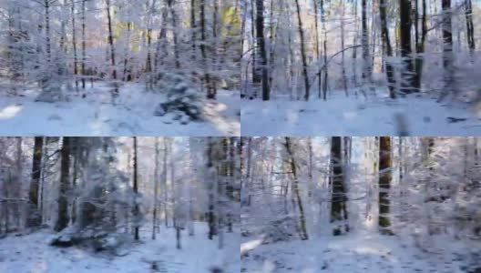 从车窗看冬天下雪的森林高清在线视频素材下载