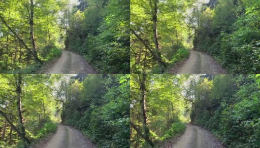 在土耳其黑海地区特拉布松市马卡区“库林”山拍摄的山路和树木的画面。阳光明媚的日子里，美丽的自然景色。高清在线视频素材下载