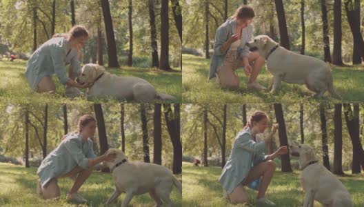 女子在公园训练狗高清在线视频素材下载