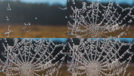 蜘蛛网上的霜正在融化-时光飞逝高清在线视频素材下载
