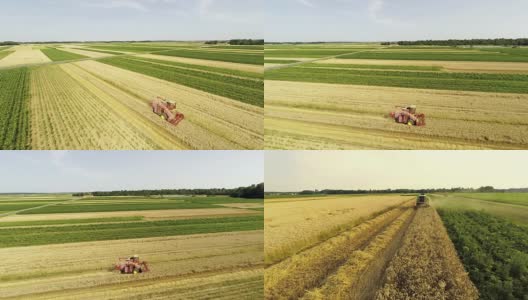 AERIAL Combine Harvester Harvesting The Wheat高清在线视频素材下载