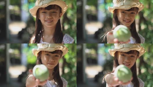 善良的园丁给绿色芒果在她的手中高清在线视频素材下载