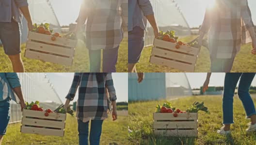 一对年轻的夫妇提着装满新鲜蔬菜的板条箱高清在线视频素材下载