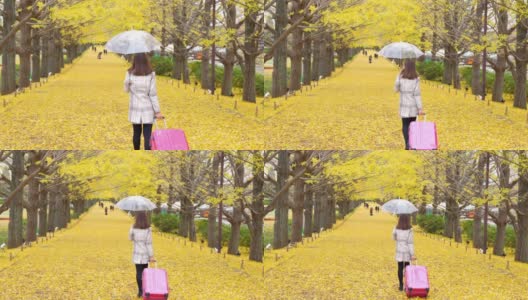 4K后视图快乐的亚洲女性游客拿着粉红色的行李和雨伞在美丽的黄色银杏叶飘落在秋天在昭和基南公园在日本。日本旅游度假和季节变化的概念。高清在线视频素材下载