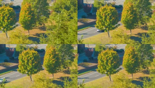 北卡罗莱纳州阿什维尔市中心，车辆经过秋天的彩色树高清在线视频素材下载