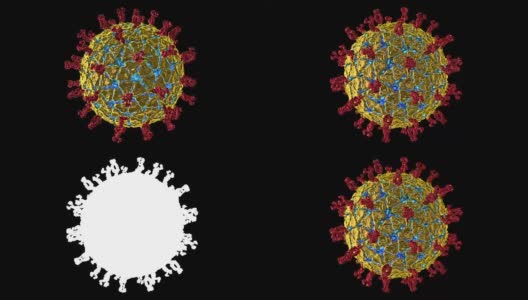 轮状病毒高清在线视频素材下载