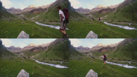 背包客在田园诗般的风景中徒步旅行。夏季冒险和探索在阿尔卑斯山，通过盛开的草地和绿色林地设置在高海拔山脉。瓦莱达奥斯塔,意大利。高清在线视频素材下载
