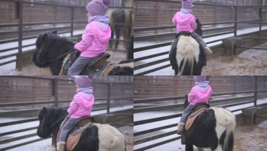 孩子骑着小马。女孩骑手棕色的马。农场里的孩子和宠物高清在线视频素材下载