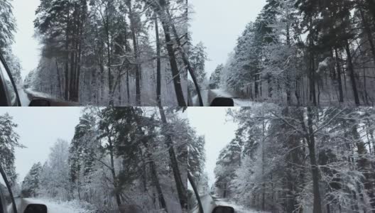 冬季森林。雪里的树。汽车在柏油路上行驶。大自然。高清在线视频素材下载