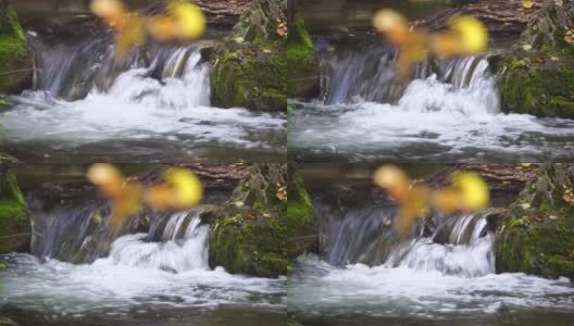 慢动作特写的急流，迅速流动的泉水与一些秋天五颜六色的叶子在水中。灰色的大石，秋天的落叶。瀑布在下降。大自然的风景高清在线视频素材下载