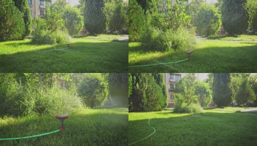 旋转喷头在绿色草坪上，dolly-in射击在地面水平高清在线视频素材下载