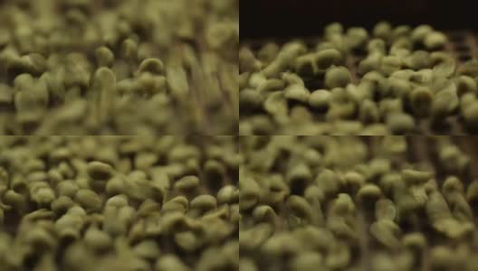 煮咖啡的过程。被搅动的咖啡豆高清在线视频素材下载
