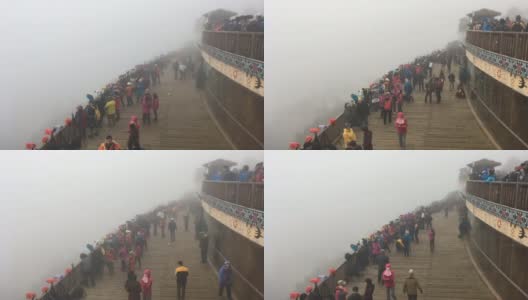 数百名摄影师在薄雾中等待在鸳鸯稻田里拍照高清在线视频素材下载
