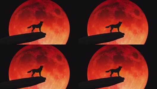 一只狼的剪影站在悬崖边，对着血红的月亮嚎叫高清在线视频素材下载