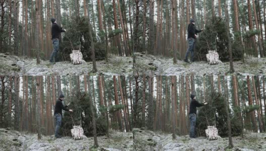 冬季的户外探险——人在野外搭建树枝营地高清在线视频素材下载