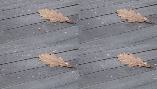 雪花落在木桌上的一片橡树叶上高清在线视频素材下载