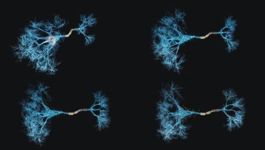 神经元的全息图高清在线视频素材下载