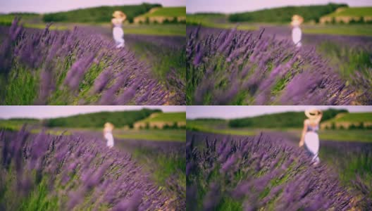 在普罗旺斯村，女孩游客走在带着紫色薰衣草的一排排附近的慢动作视频高清在线视频素材下载