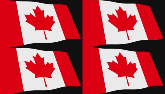加拿大国旗在透视中缓慢摆动，4K动画镜头高清在线视频素材下载