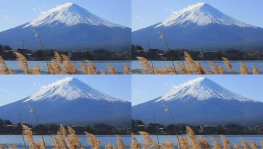 富士山下面的草地高清在线视频素材下载