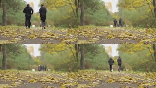 人们在秋天公园的森林里奔跑。幸福家脚踩在秋叶上。秋天的城市森林公园，落在地上的枫叶。健康生活方式和家庭关系的概念。秋天的森林里，树叶飘落。五颜六色的树叶的树。环境高清在线视频素材下载