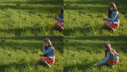 女孩在草地上采摘黄色的蒲公英。蒲公英。春季的一天。美丽的微笑少年在春天的公园与鲜花。视频素材高清运动摄像机。全景高清在线视频素材下载