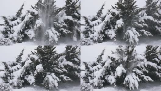 在冬天，树上晃动着躺在上面的雪，在白天，雪花在缓慢的动作。高清在线视频素材下载