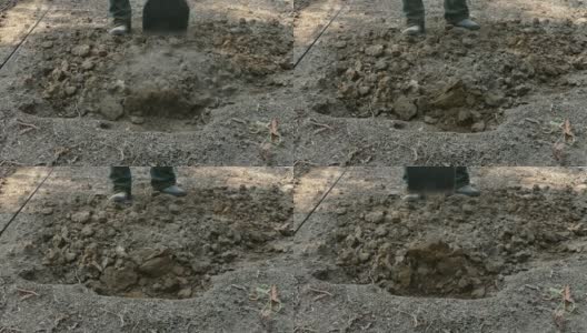 一个农夫在他的花园里用铁锹挖土。高清在线视频素材下载