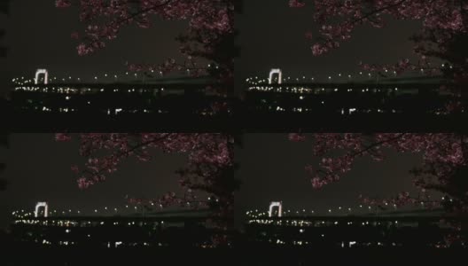 日本台场春天的夜景。高清在线视频素材下载