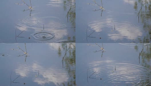 雨滴在水坑中荡漾，慢动作视频与蓝天反射高清在线视频素材下载