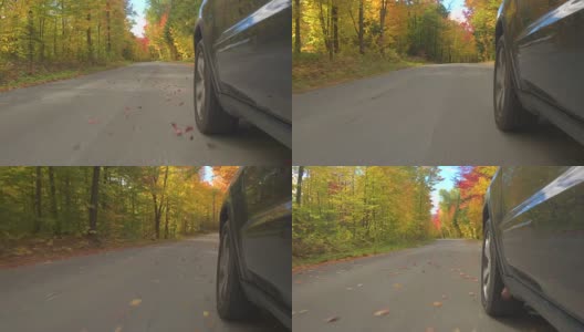 特写:在阳光明媚的秋天，越野车轮胎行驶在空旷的森林道路上高清在线视频素材下载