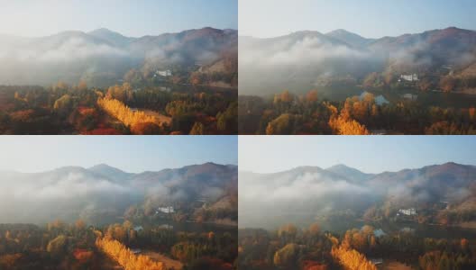 韩国奈美岛秋季鸟瞰图高清在线视频素材下载