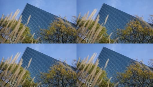从低到地面的景观斑块看企业建筑的抽象角度高清在线视频素材下载